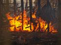 Grossbrand Holzlager Siegburg Industriestr P369